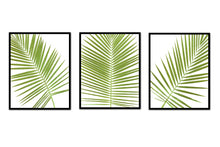 Load image into Gallery viewer, Palm Frond Trio Art  Prints