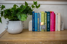 Load image into Gallery viewer, Fem Rosa Pot - Medium