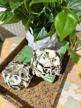 Load image into Gallery viewer, Oyster Shell Balls