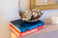 Load image into Gallery viewer, Oyster Shell Balls