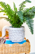 Load image into Gallery viewer, Artsi Ripple Vases - Multiple Sizes
