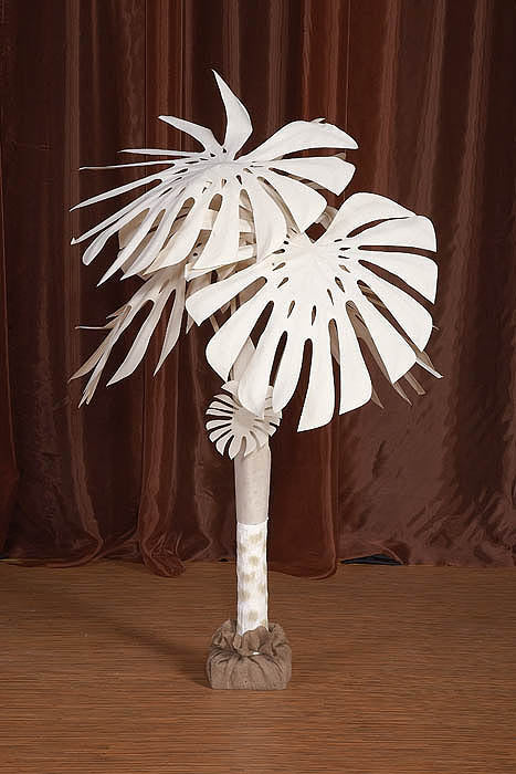 lamp tree philodendron 5' White Philodendron Tree