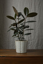 Load image into Gallery viewer, Nilly Pot