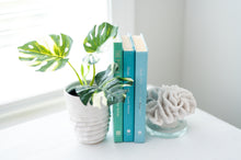 Load image into Gallery viewer, Artsi Ripple Vases - Multiple Sizes