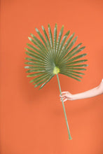 Load image into Gallery viewer, 23x41 Giant Fan Palm Stem