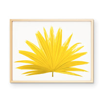 Load image into Gallery viewer, Fan Palm Art Print