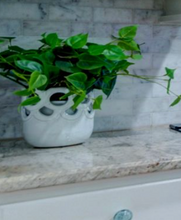 Load image into Gallery viewer, White Ceramic Lattice pot