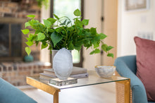 Load image into Gallery viewer, Turtle Shells on Acrylic - Set of 2