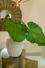 Load image into Gallery viewer, Taro Leaf Stem 43"