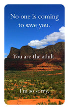 Load image into Gallery viewer, Disappointing Affirmations Deck