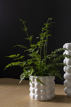 Load image into Gallery viewer, Bubble Pot- Various Sizes