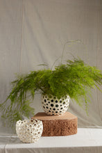 Load image into Gallery viewer, Coral Ceramic Pot