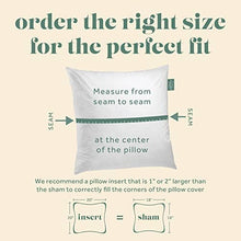 Load image into Gallery viewer, ComfyDown Decorative Throw Pillow Insert, Down - Square: 12 / 24X24