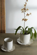 Load image into Gallery viewer, Dermot Pot with Saucer