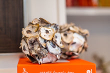 Load image into Gallery viewer, Oyster Shell Balls