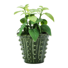 Load image into Gallery viewer, Green Hobnail Planter