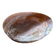 Load image into Gallery viewer, 7"L x 4-1/4"W Decorative Natural Shell Footed Dish (Each One Will Vary)