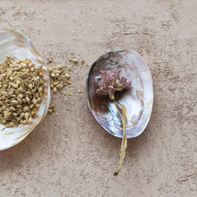 Load image into Gallery viewer, 7"L x 4-1/4"W Decorative Natural Shell Footed Dish (Each One Will Vary)
