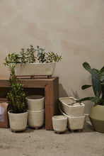 Load image into Gallery viewer, Elias Collection Bumpy Pot