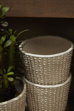 Load image into Gallery viewer, Elias Collection Bumpy Pot