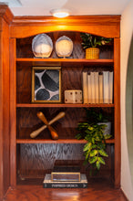 Load image into Gallery viewer, Turtle Shells on Acrylic - Set of 2