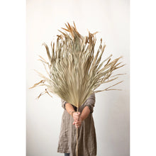 Load image into Gallery viewer, Dried Palm Fan Leaf