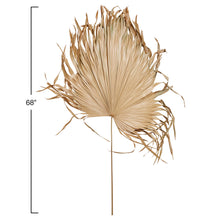 Load image into Gallery viewer, Dried Palm Fan Leaf