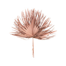 Load image into Gallery viewer, Dried Pink Palm Stems - Bunch of 4