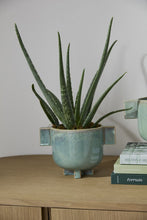 Load image into Gallery viewer, Trothos Pot