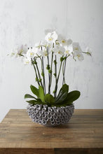 Load image into Gallery viewer, Iris Bowl