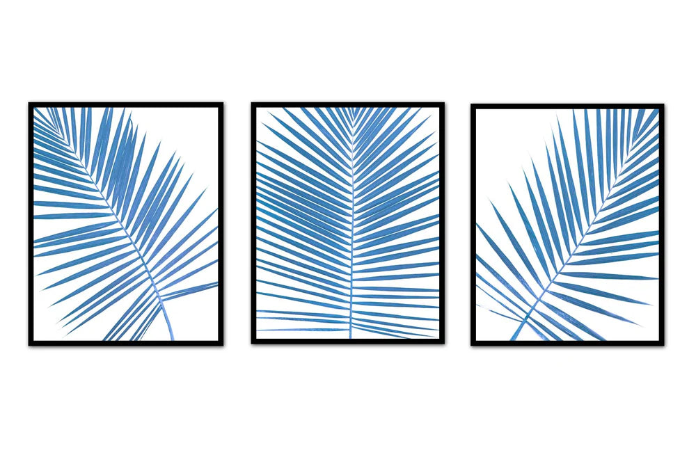 Palm Frond Trio Art  Prints