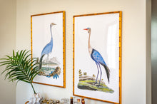 Load image into Gallery viewer, Elegant Beauty Bird Pair Print by Urban Garden Prints
