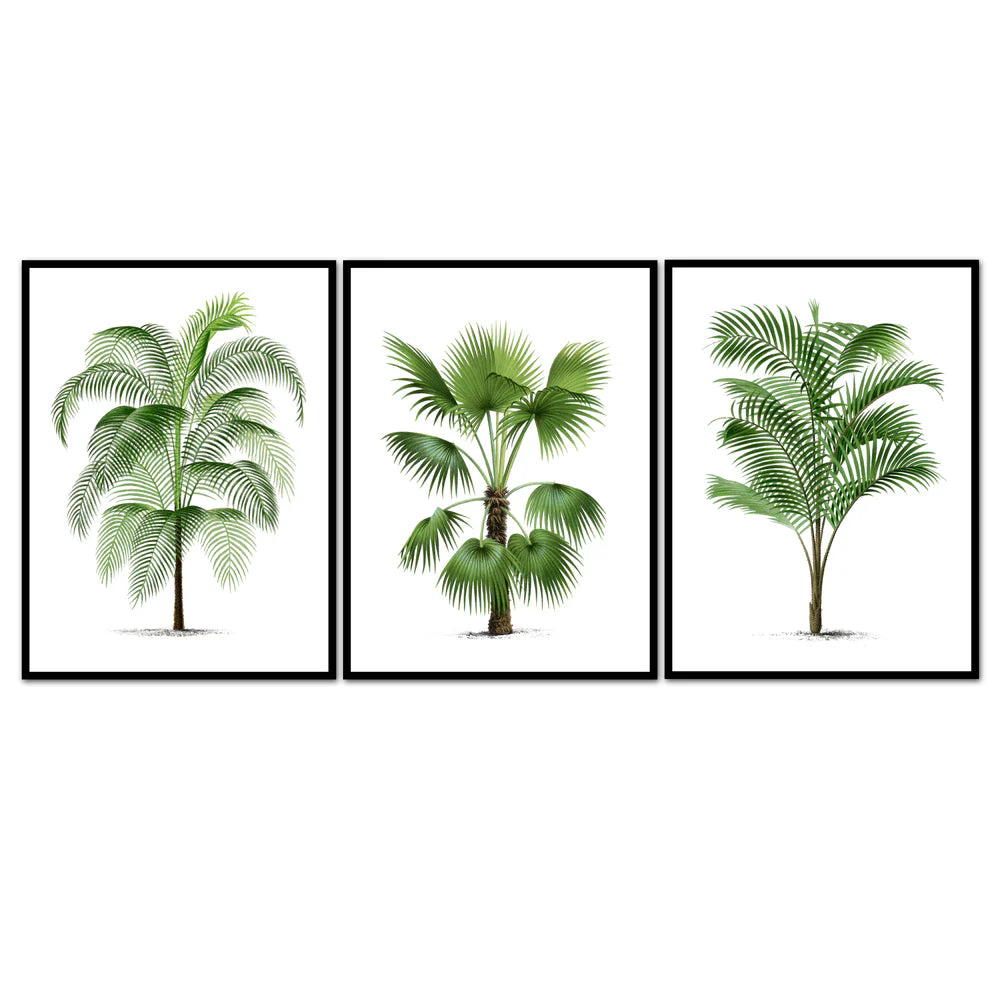 Vintage Large Palm Trio Art Print