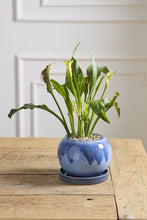 Load image into Gallery viewer, Casey Pot with Saucer
