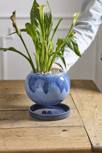 Load image into Gallery viewer, Casey Pot with Saucer
