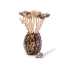 Load image into Gallery viewer, Tiger Cowrie Shell with 20 Assorted Sea Shell Picks
