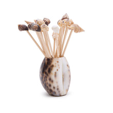 Load image into Gallery viewer, Tiger Cowrie Shell with 20 Assorted Sea Shell Picks
