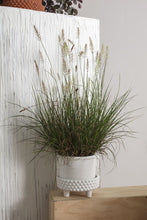 Load image into Gallery viewer, Jane Footed Pot with Saucer
