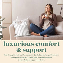 Load image into Gallery viewer, ComfyDown Decorative Throw Pillow Insert, Down - Square: 12 / 24X24
