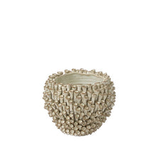 Load image into Gallery viewer, Surreal Vase Collection
