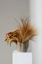 Load image into Gallery viewer, Capira Pot - Large
