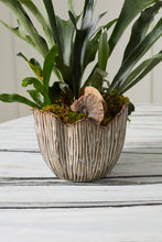 Load image into Gallery viewer, Capira Pot - Large
