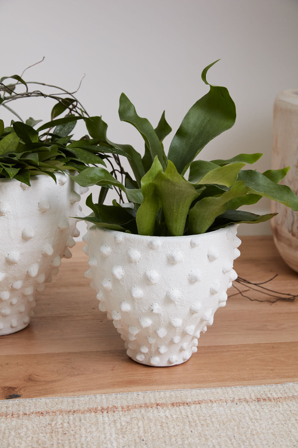 Zemora Planter + Vase - Multiple Sizes