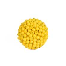 Load image into Gallery viewer, Berry Balls Golden - 4"
