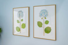 Load image into Gallery viewer, Live Hydrangea Art Print - Pair
