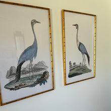 Load image into Gallery viewer, Elegant Beauty Bird Pair Print by Urban Garden Prints
