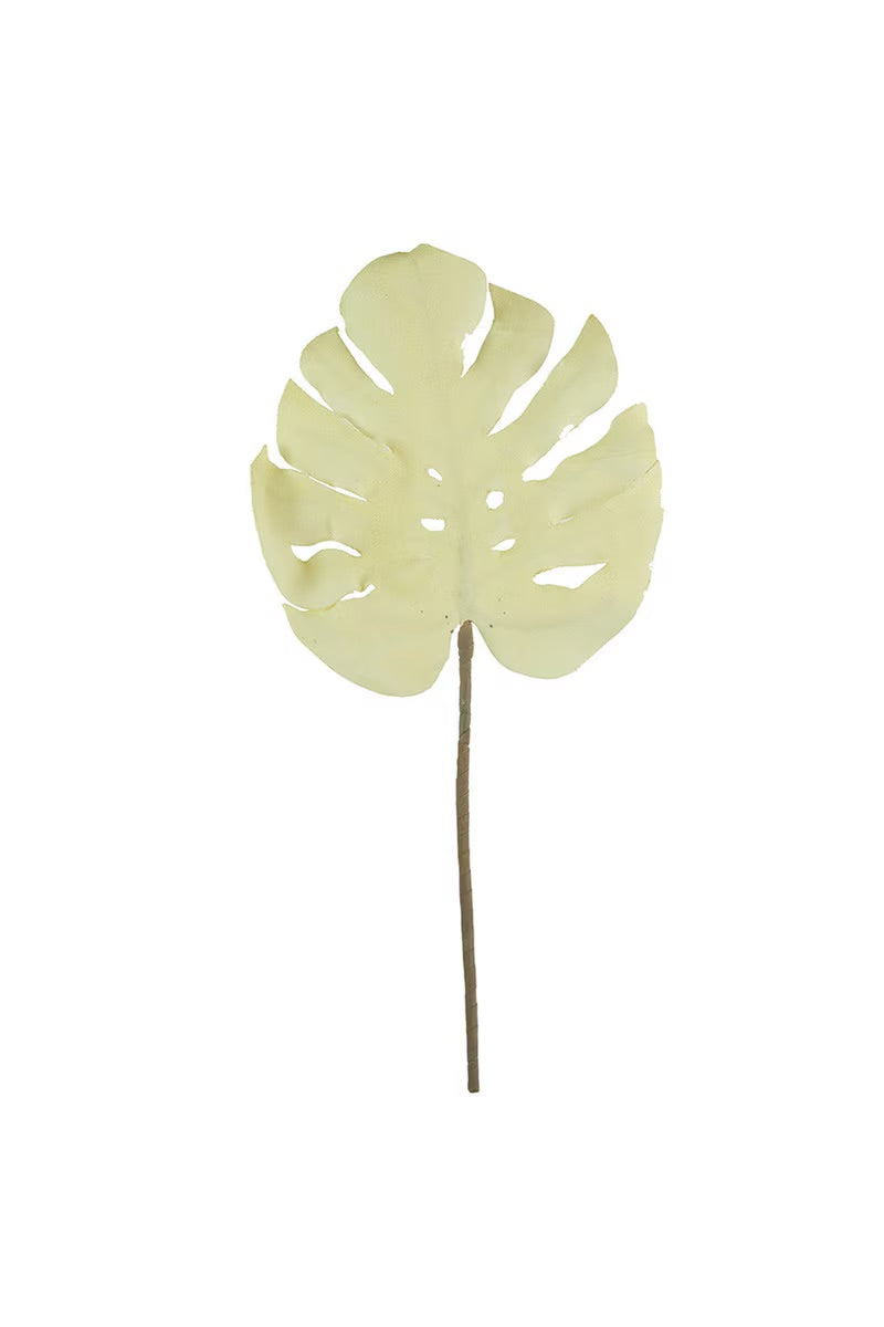 White Monstera Leaf - Botanica #2738
