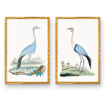 Load image into Gallery viewer, Elegant Beauty Bird Pair Print by Urban Garden Prints
