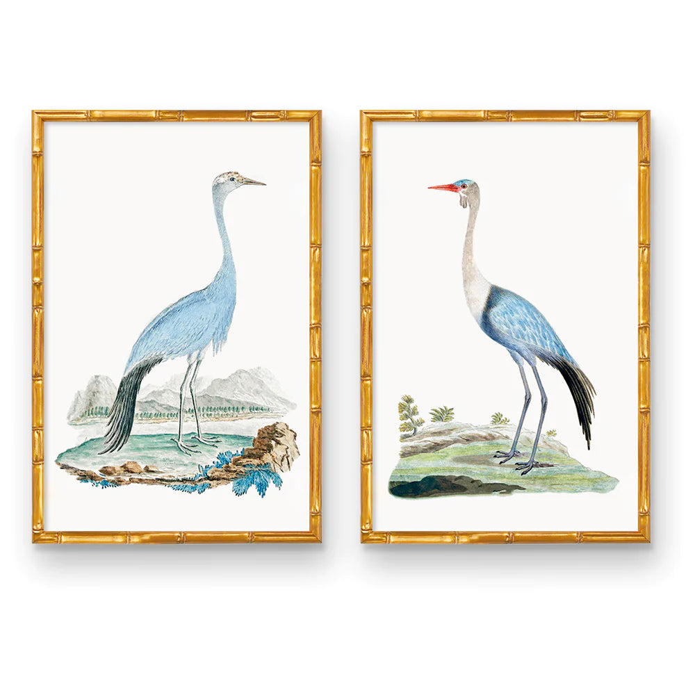 Elegant Beauty Bird Pair Print by Urban Garden Prints
