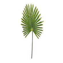 Load image into Gallery viewer, 23x41 Giant Fan Palm Stem
